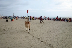 Mängder av människor på stranden i Cox's Bazar. I stort sett alla är lokala turister.