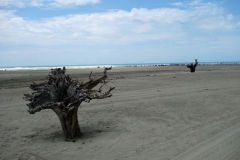 Inani beach, Cox's Bazar.