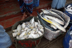 Fiskmarknad i Gorakghata, Maheskhali island.