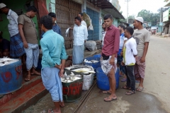 Fiskmarknad i Gorakghata, Maheskhali island.
