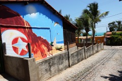Vacker graffiti på längs en av gatorna ner till stranden, Canoa Quebrada.
