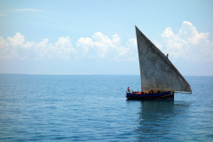 Traditionell dhow med tropisk ö i bakgrunden. Foto från Kilimanjaro IV på väg mot Dar es-Salaam.