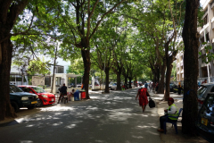 På vänster sida National Museum and House of Culture, Shaaban Robert street, Dar es-Salaam.