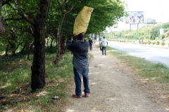 Multitasking, Dar es-Salaam.