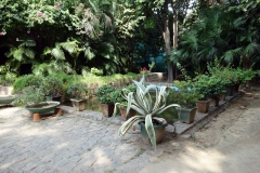 Lodhis trädgårdar, Delhi.