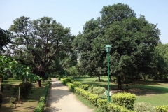 Lodhis trädgårdar, Delhi.