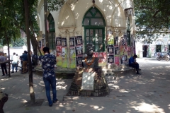 Dhaka University Campus.