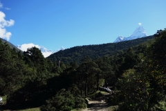 Efter bara en stunds trekking från Tengboche dyker vackra Ama Dablam (6812 m) upp. Här till höger i bild.