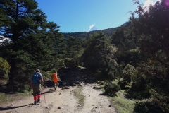 Japanen och hans sherpa-guide som jag gick halva dagens trek med innan jag tappade bort dom i Pangboche. EBC-trekken mellan Tengboche och Dingboche.