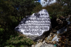 Sten med inskriptioner, EBC-trekken mellan Tengboche och Dingboche.
