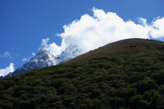 Mellan Pangboche och Somare, EBC-trekken mellan Tengboche och Dingboche.