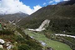 Lilla, lilla byn Orsho en kort bit ovanför Somare, EBC-trekken mellan Tengboche och Dingboche.