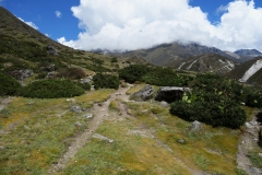 Naturen mellan Pangboche och Dingboche.