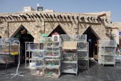 Bird Souq, Doha.