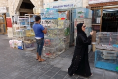 Bird Souq, Doha.