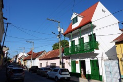 Gatuscen, Isla de Flores.