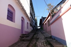 Gatuscen, Isla de Flores.