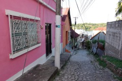 Gatuscen, Isla de Flores.