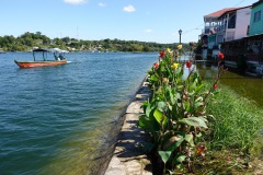 Översvämmad gata vid sjön, Isla de Flores.