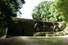 Del av Palacio de las Acanaladuras, Grupo G, Tikal.