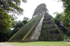 Magnifika Templo V, Tikal