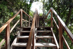 Trappan upp till toppen av Templo IV (Templo de la Serpiente Bicéfala), Tikal.