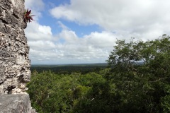 Utsikten från mäktiga Templo IV (Templo de la Serpiente Bicéfala), Tikal.