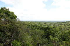 Utsikten från mäktiga Templo IV (Templo de la Serpiente Bicéfala), Tikal.