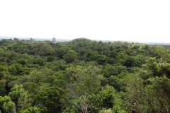Utsikten från Templo IV (Templo de la Serpiente Bicéfala) med Templo I, Templo II och Templo III i bakgrunden, Tikal.