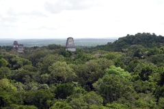 Utsikten från Templo IV (Templo de la Serpiente Bicéfala) med Templo I, Templo II och Templo III i bakgrunden, Tikal.