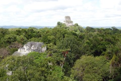 Utsikten från The great pyramid, Mundo Perdido, Tikal.