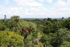 Utsikten från The great pyramid, Mundo Perdido, Tikal.