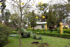 Parque San Sebastián, Zona 1, Guatemala City.