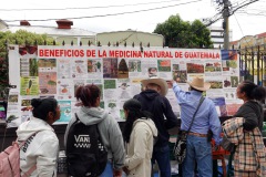 Försäljning av naturmedicin vid Parque San Sebastián, Zona 1, Guatemala City.