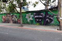 Väggmålning, Zona 1, Guatemala City.