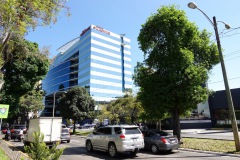 Promenaden längs Avenida La Reforma som skär mellan Zona 9 och Zona 10, Guatemala City.