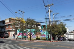 Gatuscen, Zona 4, Guatemala City.