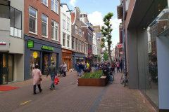 Gatuscen i centrala Haarlem.