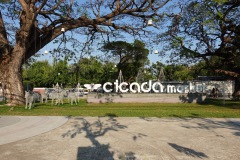 Cicada Market, Hua Hin.