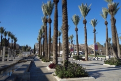 Mishol ha-Pninim Garden vid Damascus Gate, Jerusalem.