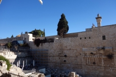 Del av Tempelberget synlig från kön till rampen som leder upp till entré Bab Al Maghariba (den enda entré turister kan ta upp till Tempelberget), Jerusalem.
