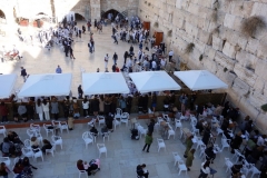 Del av Västra muren (Western Wall), Jerusalem. Längst bort i bild avdelningen för män och närmast i bild avdelningen för kvinnor.