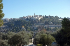 Utsikten mot Olivberget från Tempelberget, Jerusalem.