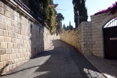 Promenaden upp till Olivberget, Jerusalem.