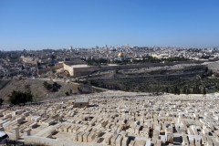 Utsikt över judiska gravar på Olivbergets sluttning med Tempelberget i bakgrunden, Jerusalem..