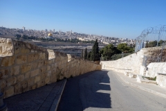 Promenaden ner från Olivberget, Jerusalem.