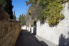 Promenaden ner från Olivberget, Jerusalem.