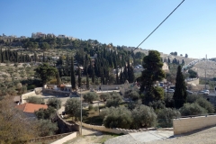 Olivberget, Jerusalem.