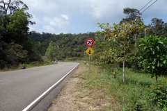 På väg ner längs den vackra vägen genom Preah Monivong Bokor National Park, Kampot province.