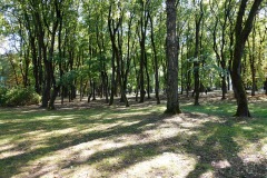 Peace Park, Kaunas.